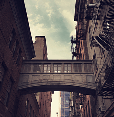 gallery-photo